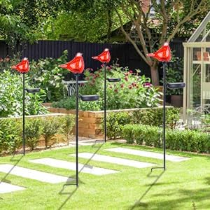 Bshine Solar Garden Decoration Outdoor Cardinal Lights, Hand Blown Glass Waterproof Solar Light Stake Red Cardinal Decorate Paths, Pathways, Lawns and Yards Art for Mom Gift, 2 Pack Bshine