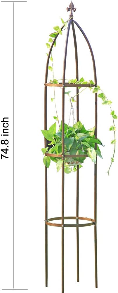 100% Metal Obelisk Garden Trellis 6.3 Feet Tall Sturdy Plant Support for Climbing Vines and Flowers Stands,1pc Upgrade (Bronze, Large) LeJoy+Garden
