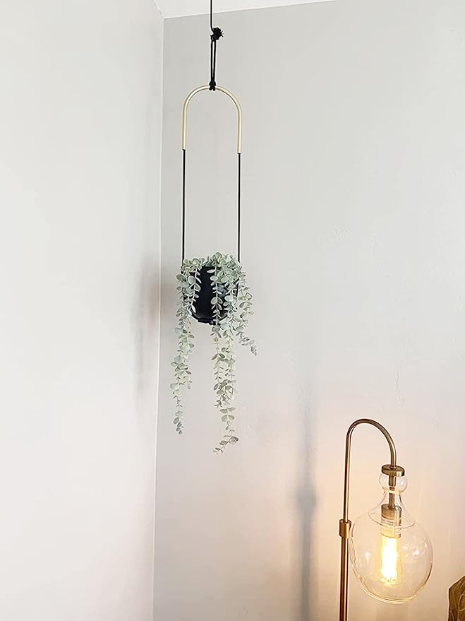 Metal Hanging Planter for Indoor Outdoor Plants Wall and Ceiling Hanging Flower Pot Plant Holder for Succulent Vines Ferns, Height Adjustable Modern Minimalist Room Decor(Black) ABETREE