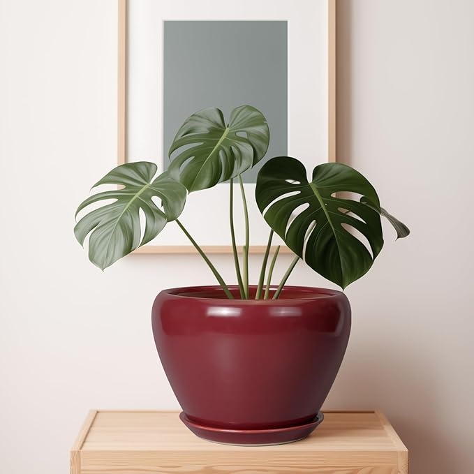 10 Inch Plant Pot - Ceramic Planter Pot with Drainage Hole and Saucer Large Planter for Indoor Plants Round Outdoor Flower Pot Mid-Century Decor Red Ceramicfor