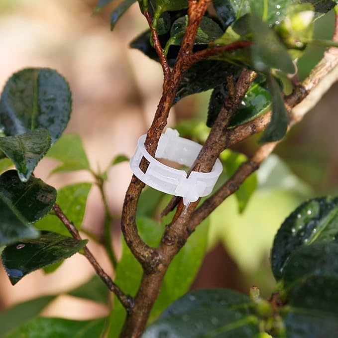 KINGLAKE Plant Support Garden Clips,Tomato Vine Clips,Tomato Trellis Clips 200 Pcs for Vine Vegetables Tomato to Grow Upright and Makes Plants Healthier KINGLAKE