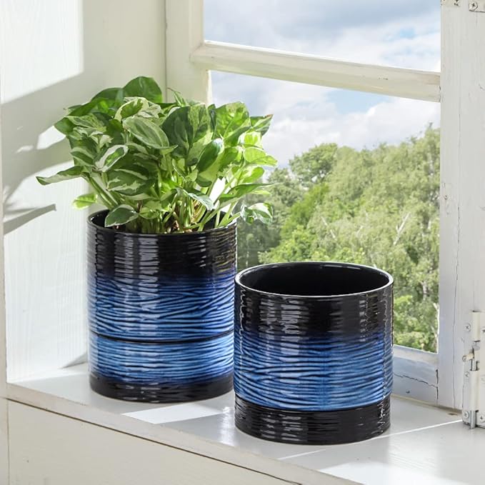 Nihow Ceramic Plant Pot: 6 Inch Planter with Drainage Hole & Saucer for Indoor & Outdoor Plants - Cylinder Round Flower Pot for Succulent/Herbs/Violets - Black & Vivid Blue Nihow