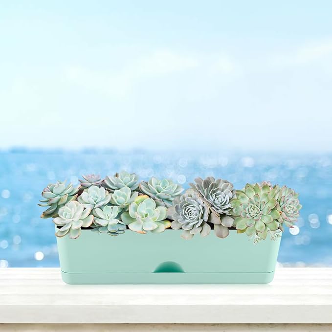 6 Pack Rectangle Planter 16x4.4 Inch Window Boxes Planters Rectangular Large Window Sill Planters Indoor Self Watering Plant Pots with Drainage Holes and Saucers Succulent Herb Flower Pots, Blue KvyusFlourish