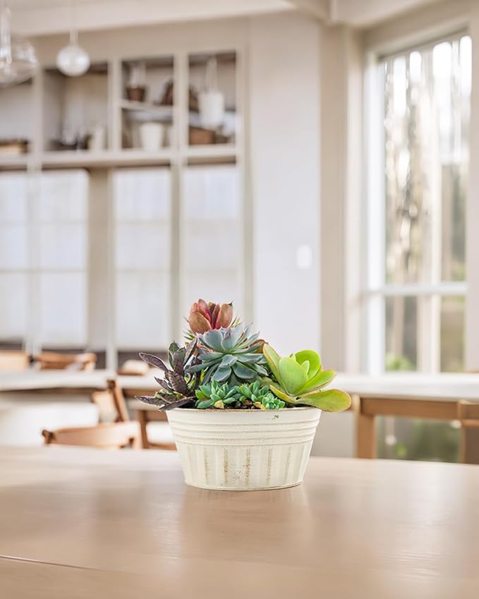 vensovo 10 Inches Beige Metal Rustic Plant Pots - 4 Pcs Large Shallow Galvanized Planters with Drain Hole and Rubber Plug, Rustproof Tin Bucket Succulent Pot Indoor Farmhouse Vintage Style for Decor vensovo