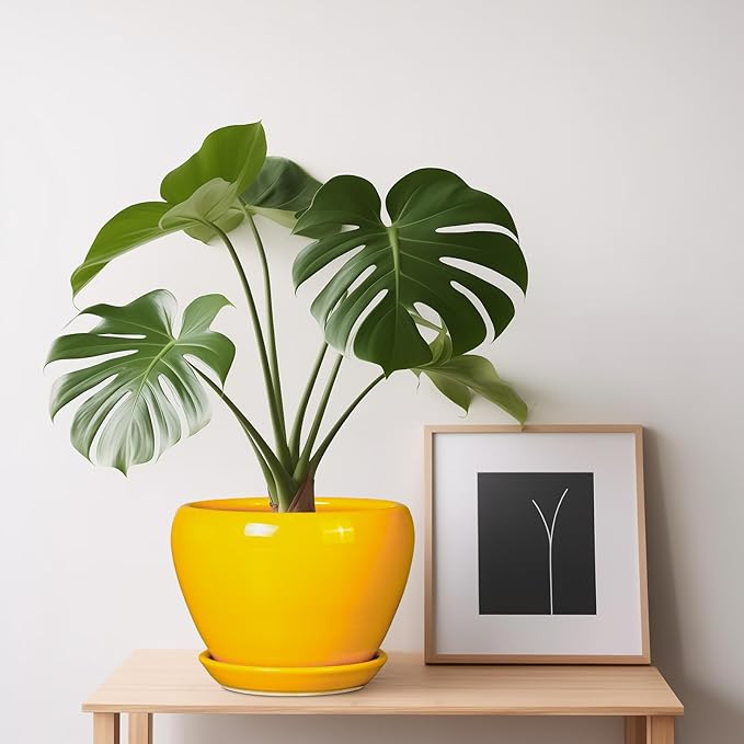 Ceramic Pot for Plants - 6 Inch Plant Pot Glaze Modern Decorative Round Planter with Drainage Hole and Saucer for Home Patio Room Office House Decor, Yellow Ceramicfor
