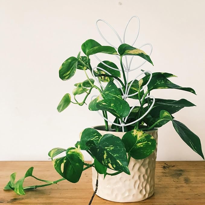 2Pack Indoor Plant Trellis Metal Wire Garden Trellis ,Small Climbing Leaf Shape Trellis for Garden Potted Plant Houseplant (Whiter) kvzvk