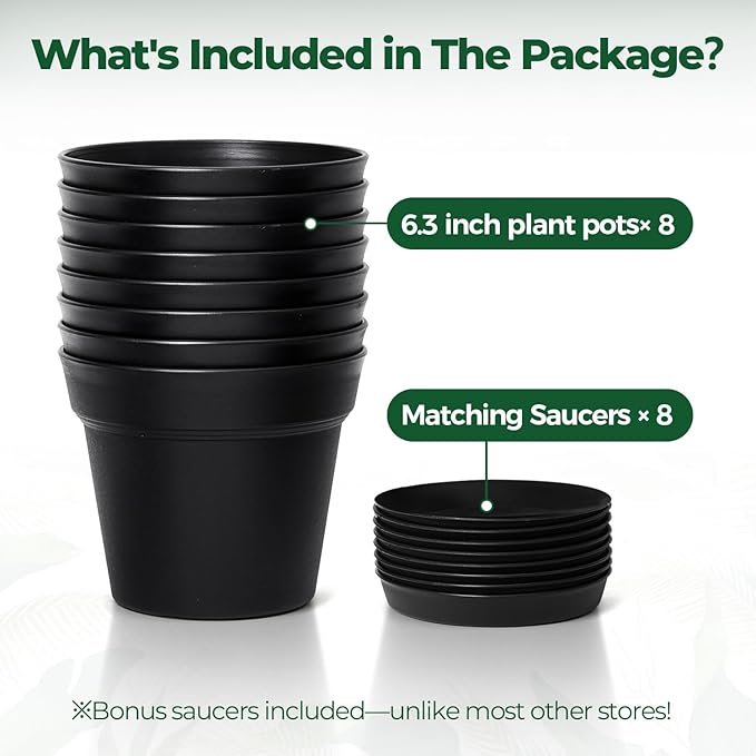 T4U 6 Inch Plant Pot 8-Pack, Plastic Planter with Drainage Hole and Saucer, Decorative Nursery Pots Bulk for African Violet, Snake Plant, Succulent, Herb and Plants Indoor (8 Pcs 6" Pots, Black) T4U