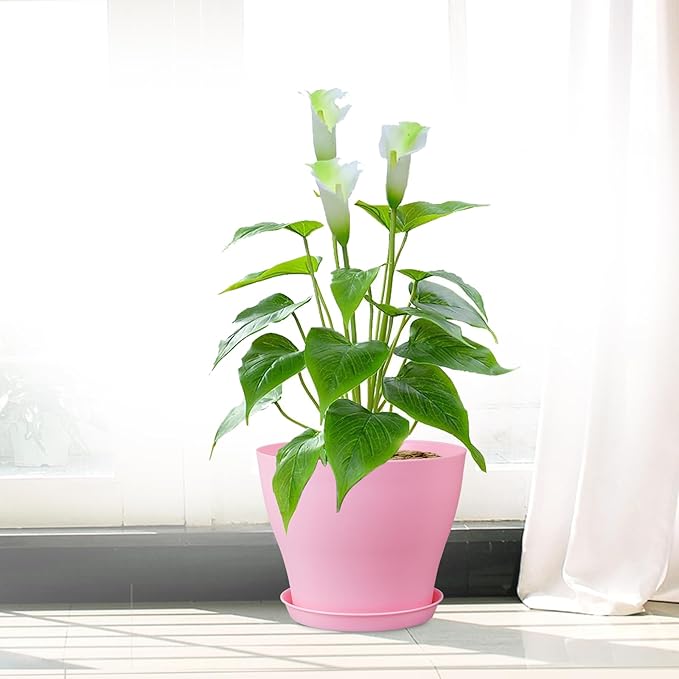 6 inch Plastic Nursery Pots, 16 Pack Plant Pots for Small Indoor Outdoor Plants, Flower Pots with Drainage Holes and Saucers, Decorative Seedling Starter Planters for House Plants, Colorful Meowell