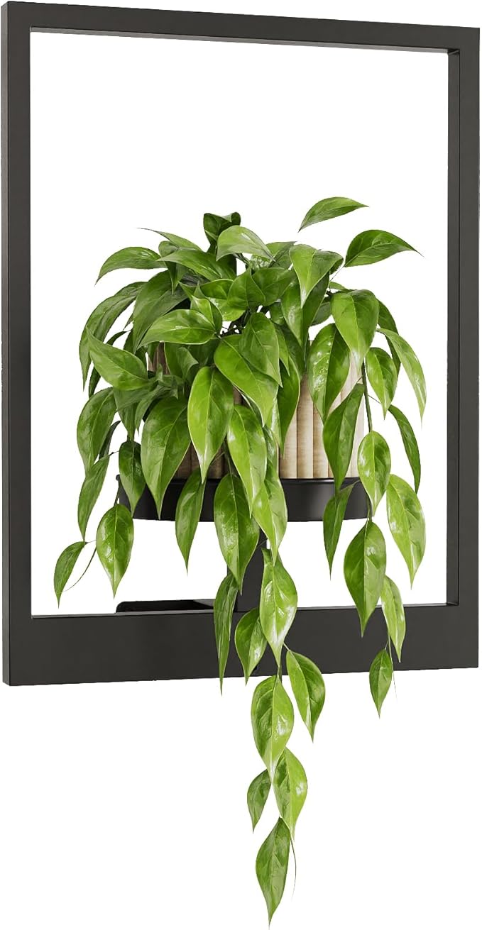 Wall Plant Holder Wall Planters for Indoor Plants Plant Wall Shelf Plant Hanger Indoor Hanging Plant Holder Plant Wall Hanger for Living Room Window Balcony Gentingbro