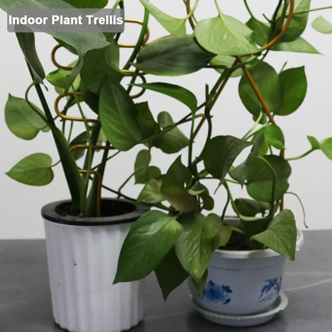 Small Metal Trellis for Potted Plants, 3 Pcs Gold Trellis for Climbing Plants Indoor, Plant Support Stake Mini House Plant Trellis for Hoya, Flower, Pothos, Monstera Yowlieu
