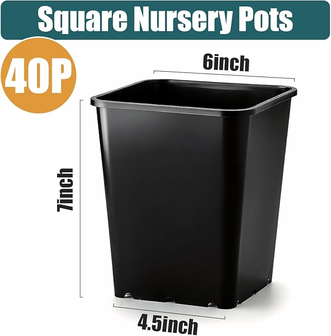Nursery Pots 6 Inch 40 Pcs, Plastic Seed Starting Pot with Drainage Holes, Sturdy Seedling pots for Planting, Cuttings (Black) BTPLASTIK