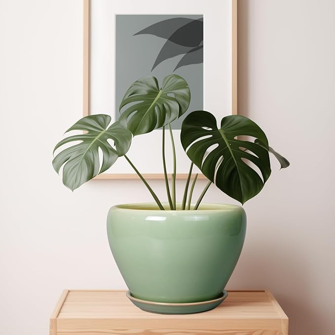 Ceramic Planter Pot - 10 Inch Plant Pot for Indoor Plants Decorative Planter with Drainage Hole and Saucer Large Pot for Plants Outdoor Round Flower Pot for Garden Green Ceramicfor