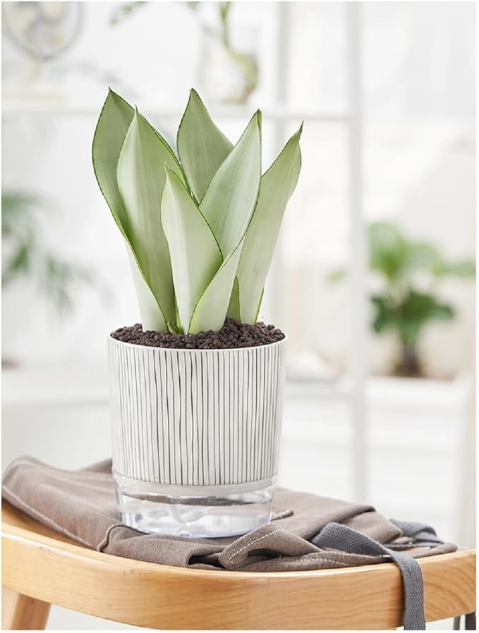 Self Watering Pots for Indoor Plants, Flower Pots, Self Watering Plant Pot-2pcs 4+5.3inch Black Stripes Etvski