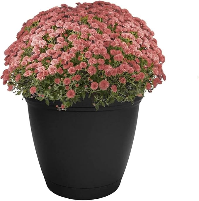 The HC Companies Eclipse Round Planter with Saucer - Outdoor & Indoor Plant Pot with Drainage Holes - Lightweight, UV-Resistant Plastic Pots for Plants, Flowers & Herbs (8" Black, Pack of 1) TheHCCompanies