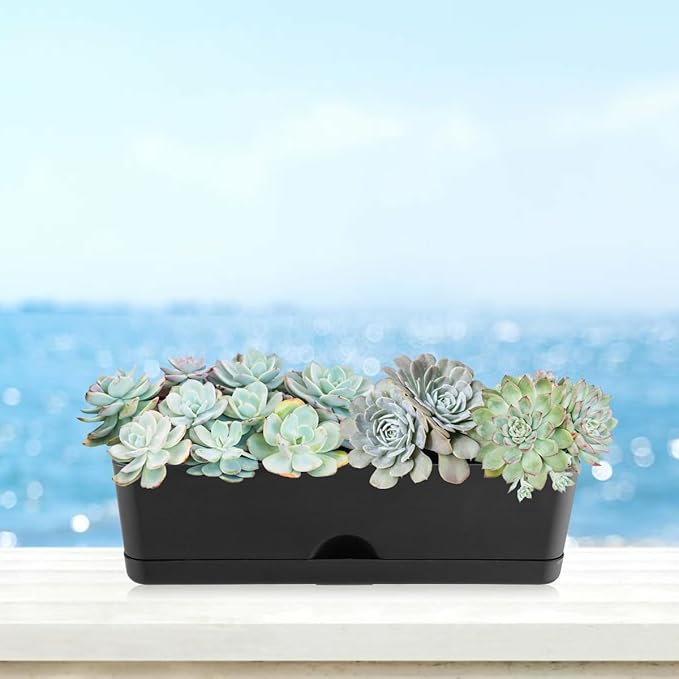 6 Pack Rectangle Planter 16x4.4 Inch Window Boxes Planters Rectangular Large Window Sill Planters Indoor Self Watering Plant Pots with Drainage Holes and Saucers Succulent Herb Flower Pots, Black KvyusFlourish