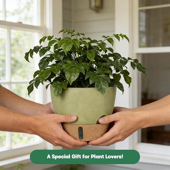 Self-Watering Hanging Planters for Indoor Plants Set 2-Piece Includes Plant Hanging Pot, Drainage-Hole Hanging Pot, and Hanging Basket Rack (10 Inches, Green) Rootora
