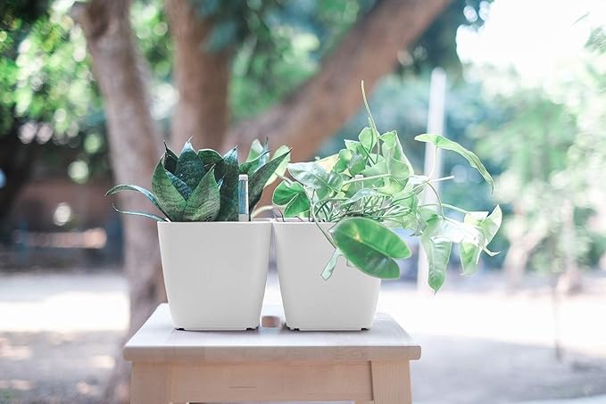 GARDENIX DECOR 5" Self Watering pots for Indoor Plants - Flower Pot with Water Level Indicator for Plants, Grow Tracking Tool - Self Watering Planter Plant Pot – 2 Pack White Rootora