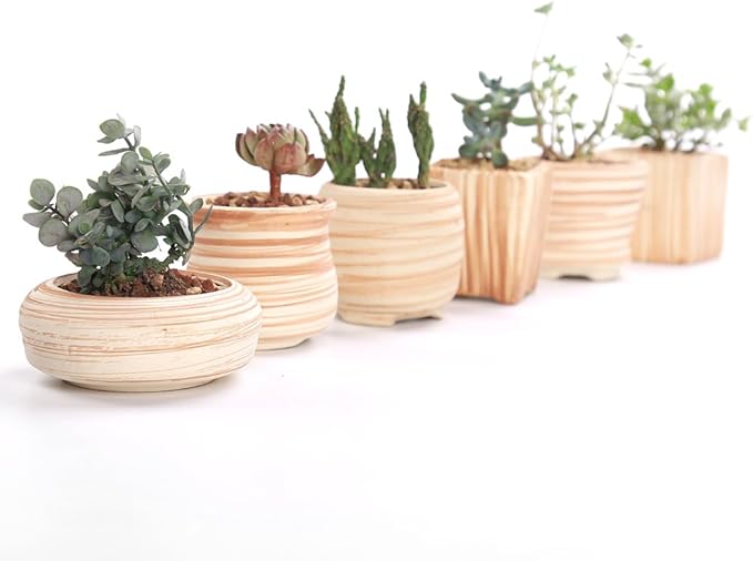 Sun-E 6 in Set 7.6 cm Ceramic Wooden Pattern Succulent Plant Pot Cactus Plant Pot Flower Pot Container Planter Gift Idea SUN-E+SE