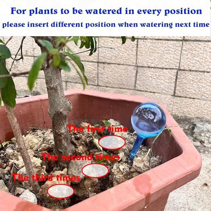 MOONSOUND Small Plant Watering Globes, 6pcs Plastic Plant Watering Devices, Plant Waterer Self Watering Bulbs for Indoor Outdoor Plants MOONSOUND