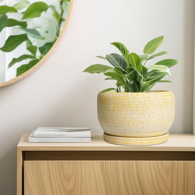 SQOWL Ceramic Planters for Indoor Plants - 10 Inch Plant Pot with Drainage Hole and Saucer, Round Ceramic Flower Pot Outdoor, Decorative Large Planter, Office Decor, Gifts for Women Men, Yellow SQOWL