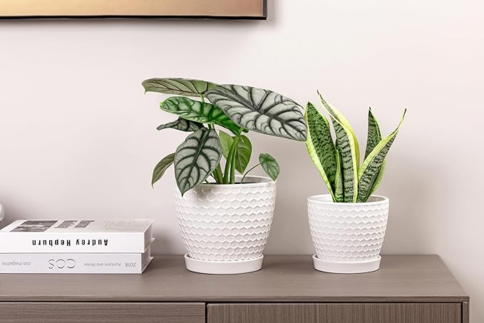 Docrin Ceramic Plant Pots Set of 2 (6.6"+5.5"), High-Fired Clay Indoor Planters with Drainage Holes & Saucer, Honeycomb Modern Home Decor for All House Plants DOCRIN
