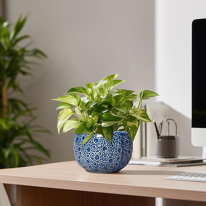 Orchid Pot - 6 Inch Ceramic Plant Pot for Indoor Outdoor, Round Unique Planters with Drainage Hole, Modern Round Decorative Flower Pots, Home Decor, Gifts for Plant Lovers, Blue Thirtypot