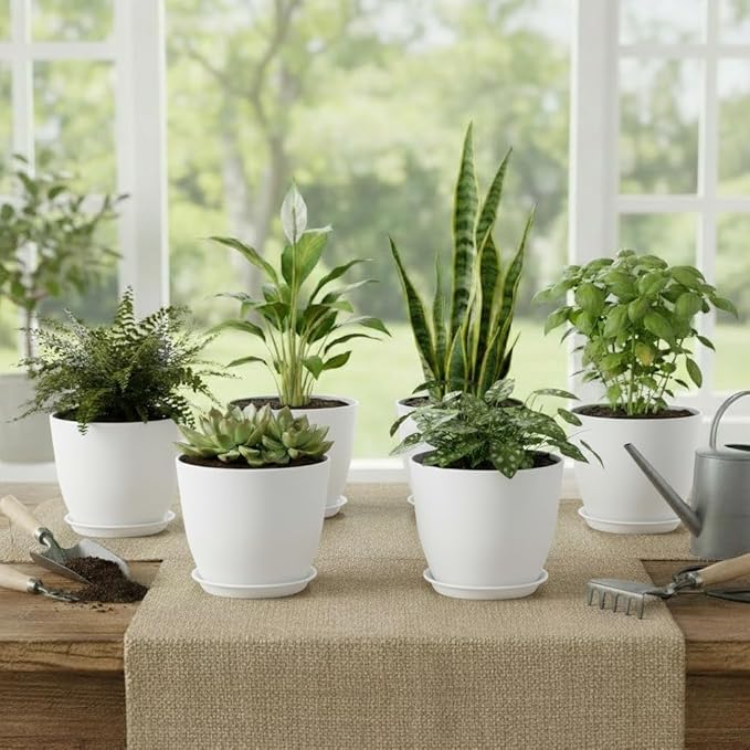 Plant Pots 8 Inch Set of 6, Flower Pots with Drainage Holes and Saucer, Plastic Garden Planters for Indoor & Outdoor Plants (White) Vanslogreen