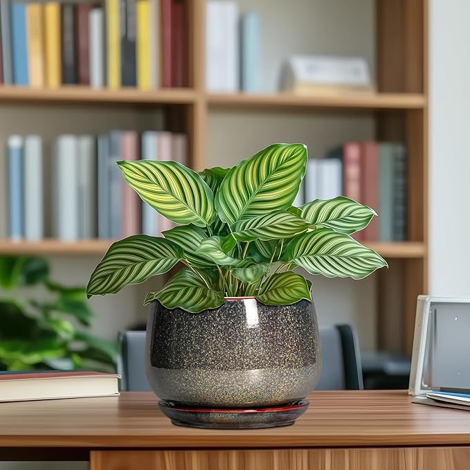 G EPGardening 7 Inch Ceramic Pots for Plants - Ceramic Planters for Indoor Outdoor Plants, Round Plant Pots with Drainage and Saucer, Modern Planter, House Decor, Plant Lover Gifts, Speckled Brown GEPGardening