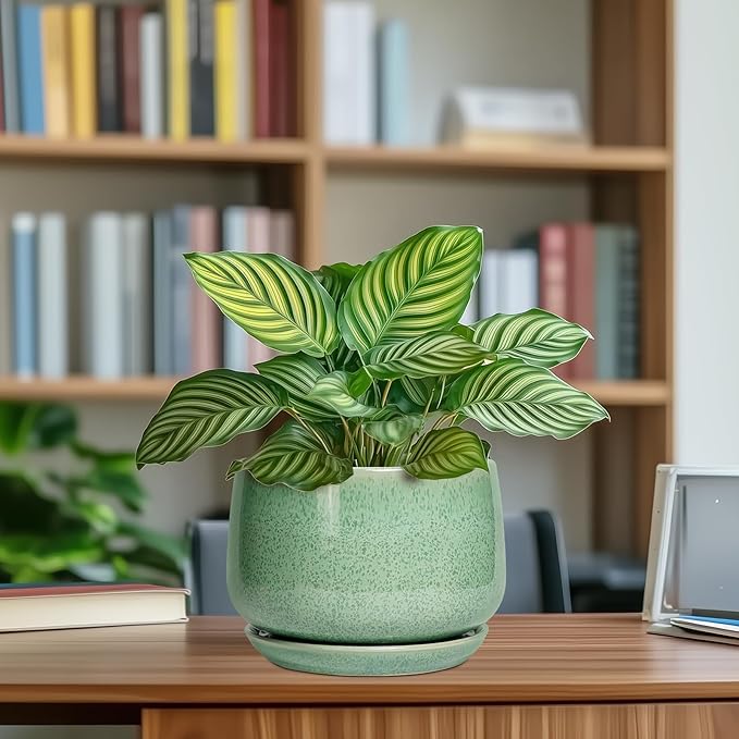 G EPGardening Ceramic Plant Pot - 7 Inch Ceramic Planter for Indoor Outdoor Plants, Flower Pot with Drainage Hole and Tray, Modern Round Planter, Plants Lovers Gifts, Home Garden Decor, Green GEPGardening
