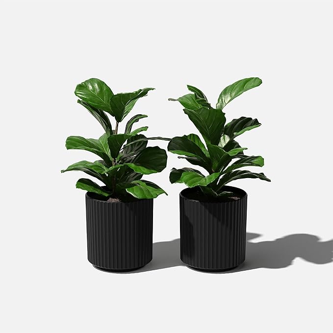 Veradek Demi Series Round Planter for Porch, Patio, Backyard | Durable Plastic-Stone Composite Material | Modern Décor for Tall Plants, Flowers VeradekOutdoor