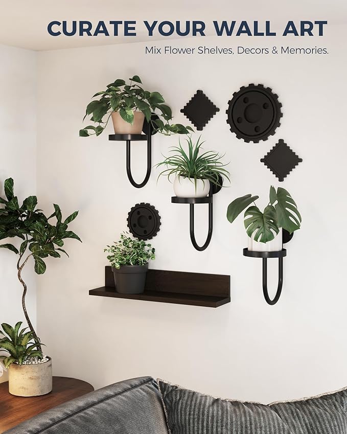 Bamworld Hanging Planters for Indoor Plants Wall Plant Holder Plant Hanger Indoor Wall Planters Window Plant Shelves Hanging Plant Holder Window Plant Hanger Plant Decor Black 3pcs Bamworld