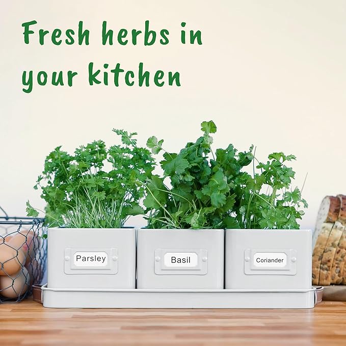 volila Herb Planter Indoor - Set of 3 Warmstone Indoor Herb Garden Pots for Plants with Leather Handled Tray - Window Sill Plant Shelf - Herb Pots with Drainage Holes and Labels volila