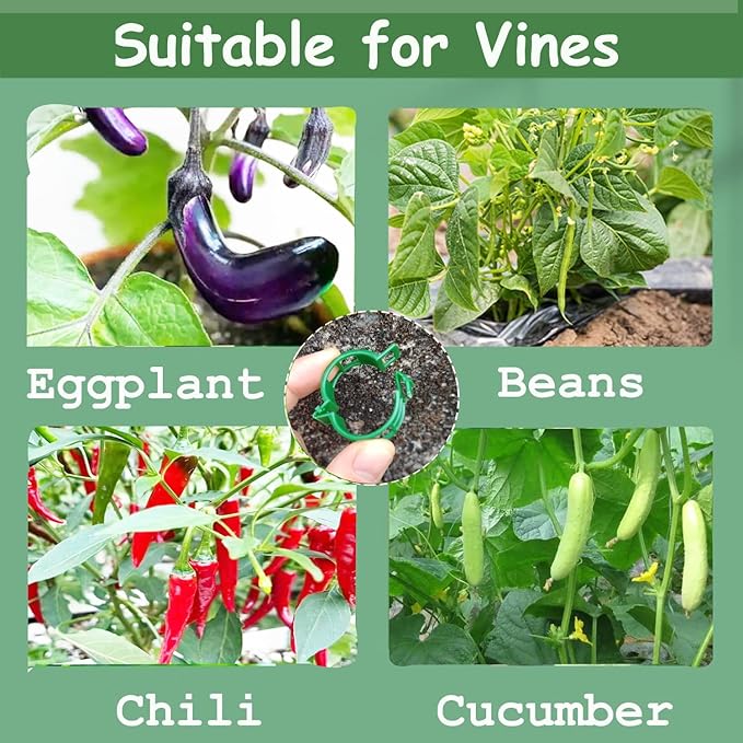 Plant Support Clips, 100 Pcs Tomato Clips, Plastic Trellis Clips, Grape Vine Tomato Vine Vegetables Plants Garden Support Clips to Grow Upright Makes Plants Healthier Rootora