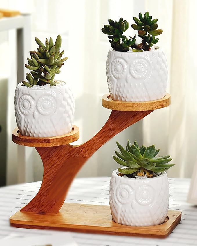 FLOWERPLUS Planter Pots Indoor, 3 Pack 3 Inch White Ceramic Decorative Small Owl Succulent Cactus Flower Plant Pot with Tree Tier Bamboo Stand for Garden Kitchen Home Office Desk Decorations Flowerplus