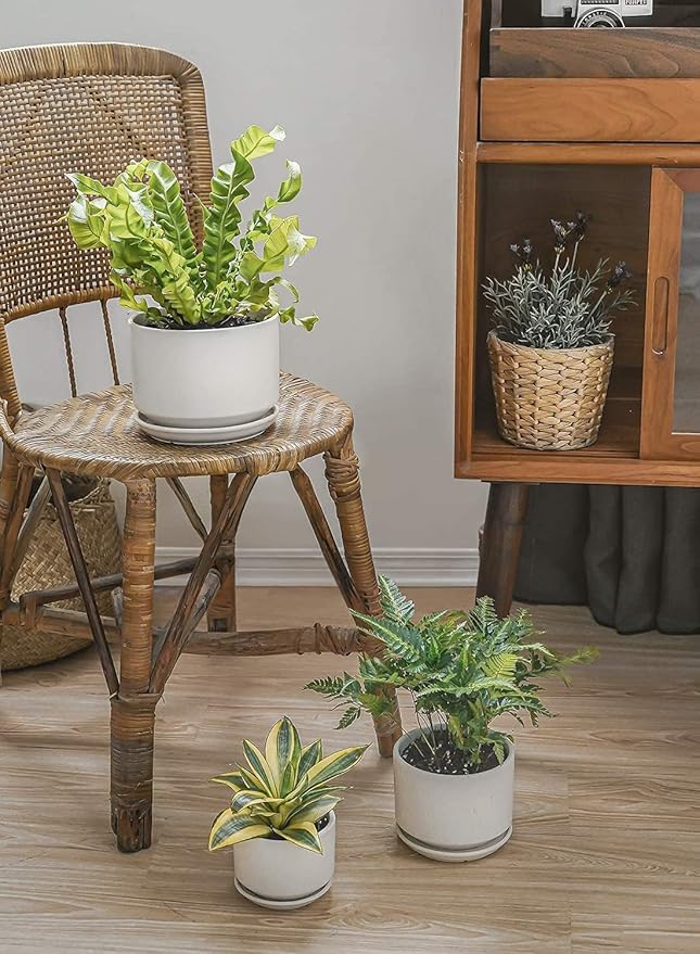 LE TAUCI Ceramic Plant Pots, 4.3+5.3+6.8 inch, Set of 3, Planters with Drainage Hole and Saucer, Indoor Flower Pot with Hole Mesh Pad, Gifts for Mom, White LETAUCI