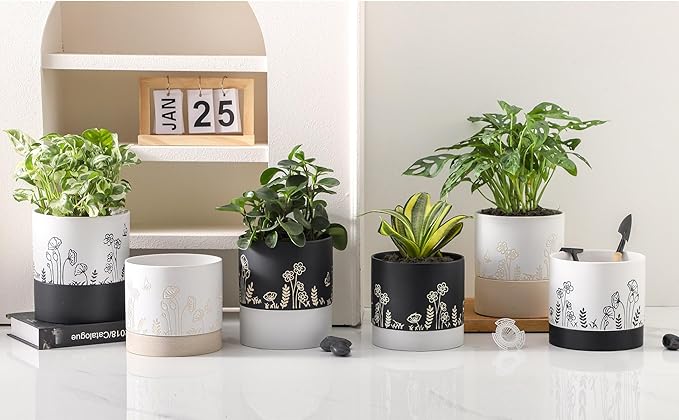 Nihow Ceramic Plant Pot: 6 Inch Planter with Drainage Hole & Saucer for Indoor & Outdoor Plants - Cylinder Round Flower Pot for Succulent/Herbs/Violets - White Nihow
