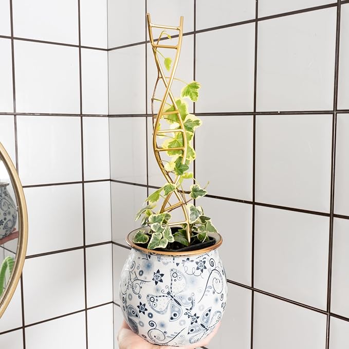 Indoor Plant Trellis for Potted Plants - Durable Metal Climbing Trellis with Unique DNA Spiral Design for Vining Plants, Easy Installation for Indoor & Outdoor Use Goooxim