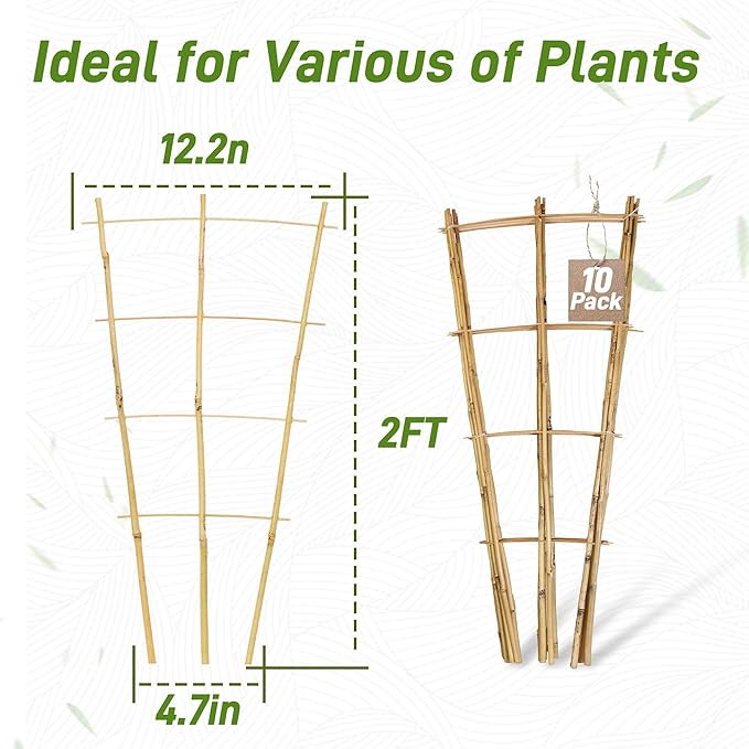 Avalution 10 Pack Bamboo Trellis for Climbing Plants, 2 FT Garden Ladder Trellis for Potted Plants Indoor, Fan-Shaped Small Plant Support Trellis for Houseplants Ivy Hoya Vine Monstera Avalution