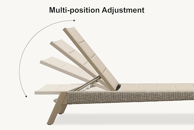 PURPLE LEAF Outdoor Chaise Lounge 2 Pieces Chair Patio Aluminum Recliner for Poolside with Adjustable Backrest Chairs Nurture Shale PURPLELEAF