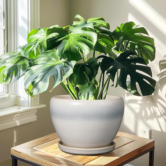 10 Inch Ceramic Planter Pot - Large Plant Pot with Drainage Hole and Saucer Round Flower Pot for Indoor Plants, White Ceramicfor