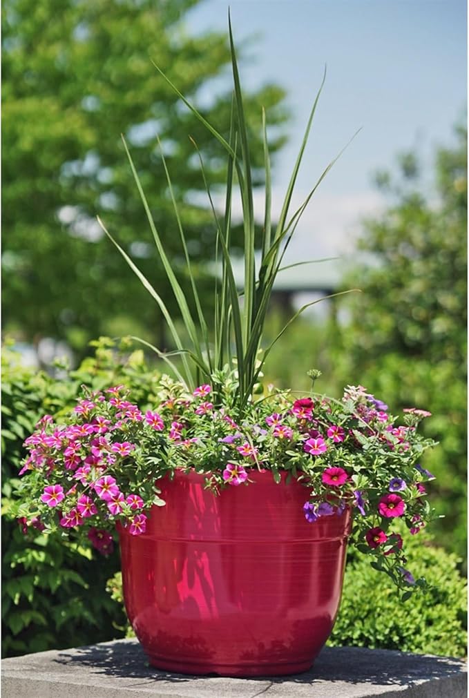 Garden Elements Indoor/Outdoor Glazed Brushed Happy Plastic Planter, Large, Bright Pink, 15" GardenElements