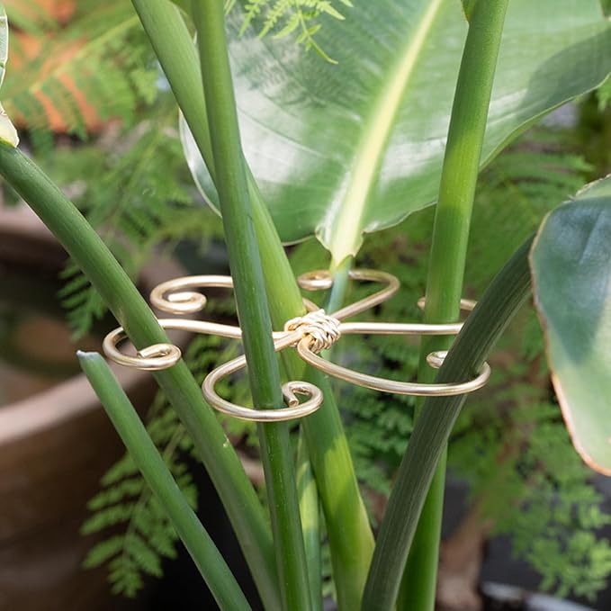 5PCS Monstera Plant Support System 4.1IN - Durable Hook Stem Supports for Healthy Growth, Stabilizer for Leaves and Turtle Shells, Easy-to-Use Indoor Plant Care, Ideal Present for Plant Lovers Yohsnor