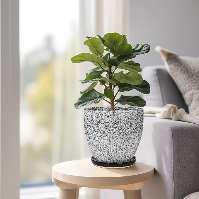 Ceramic Planter - 6.3 Inch Plant Pot for Indoor Ourdoor Plants, Round Succulent Planter, Decorative Flower Pots with Drainage Hole and Saucer, Home Desk Decor, Housewarming Gifts, White-black EPFamily