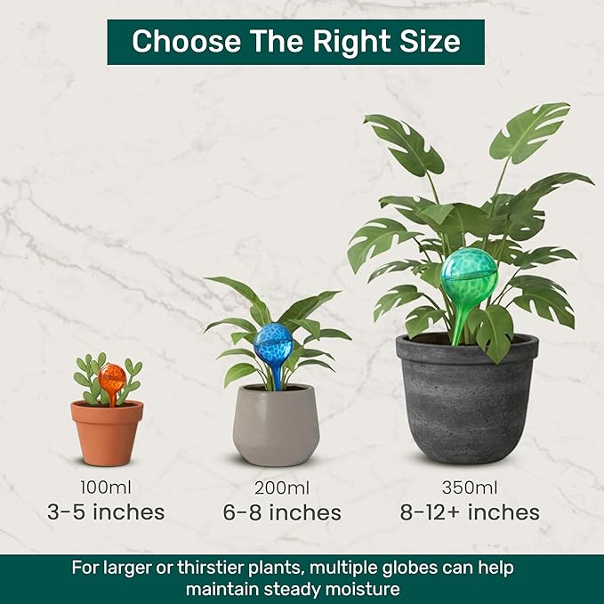 Automatic Plant Watering Globes Self Watering Planter Inserts (Set of 4) | Hands Free Clear Glass Bulbs | Planter Spikes to Support Indoor & Outdoor Plant Health (200ml) LittleGreenLeaf