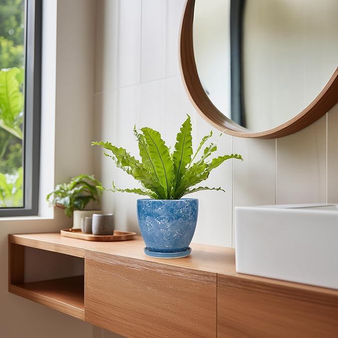 6 Inch Ceramic Plant Pot - Ceramic Planters with Drainage Hole and Saucer, Round Decorative Planter, Modern Planters for Indoor Outdoor Plants, Desk Office Decor, Housewarming Gifts, Blue EPFamily