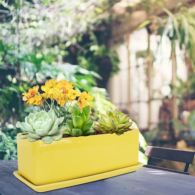 Vencer 12 Inch Rectangular Modern Minimalist Ceramic Succulent Planter Pot - Window Box with Saucer,Office Desktop Potted Stand,Yellow,VF-0135Y Vencer