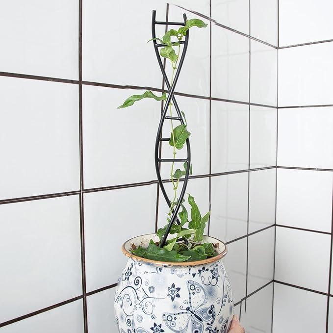 DNA Spiral Plant Trellis Indoor - Durable Metal Trellis for Potted Plants, Perfect for Small Houseplant Pots, Ideal for Ivy and Pothos, Space-Saving Vertical Support for Climbing Growth Goooxim