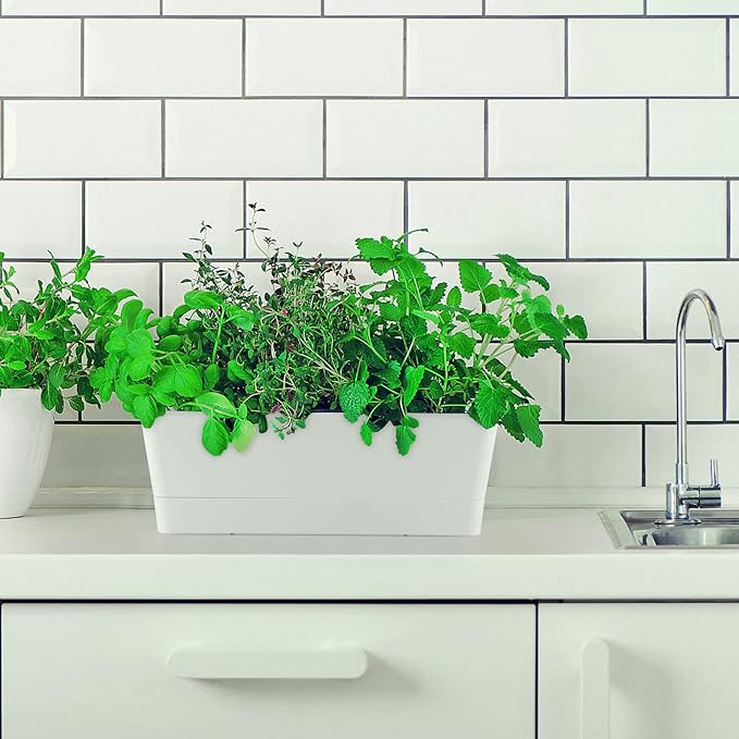 Skelang 3 Pcs Rectangular Plant Pot, 12" Flower Planter Box, Windowsill Container for Succulent, Herb, Vegetable (White) Skelang