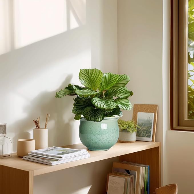 Ceramic Self Watering Pots, 6 Inch African Violet Pots with Absorbent Inner Pot, Round Self Watering Planter for Indoor Plants, Ceramic Pot for Plants, House Decor, Gifts for Women Men, Green Teagas