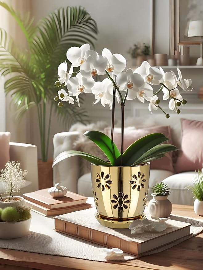 Oairse 6 inch Orchid Pots with Holes, Gold Ceramic Orchid Pot for Repotting Small Indoor Plant Pots with Drainage Holes and Saucers Decorative Flower Planter for Orchids, Indoor Plant Oairse